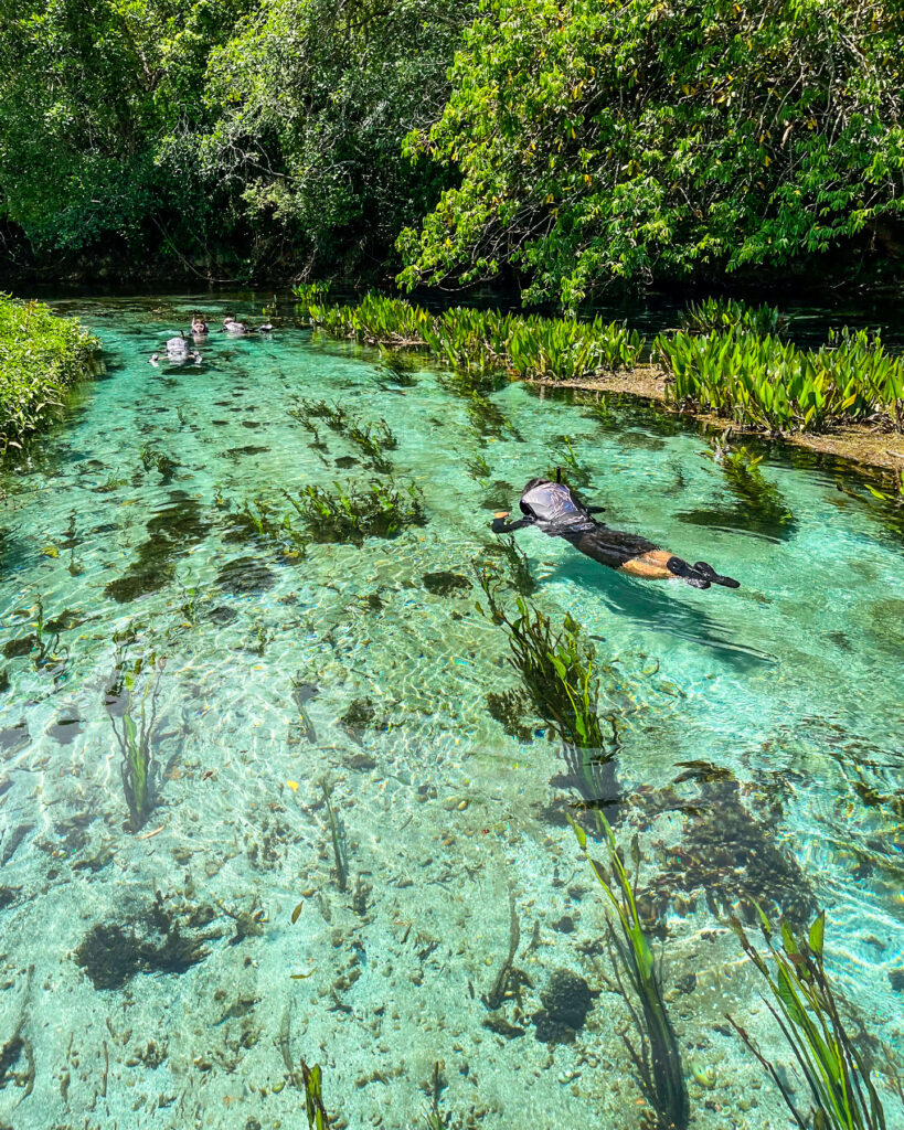 Flutuação no Rio Sucuri, Bonito MS