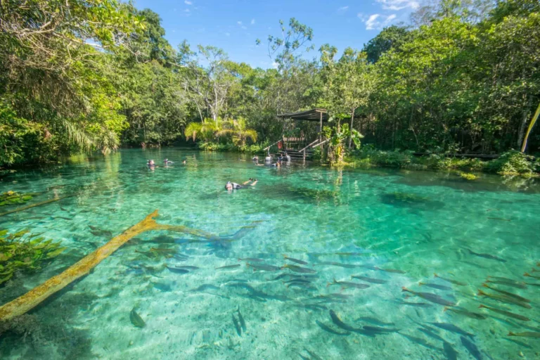 por que as águas de bonito são cristalinas
