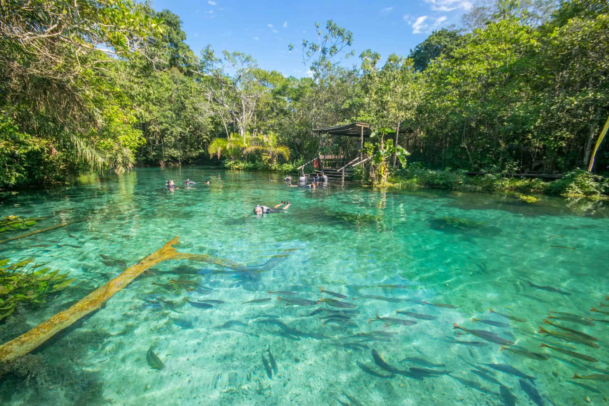 por que as águas de bonito são cristalinas