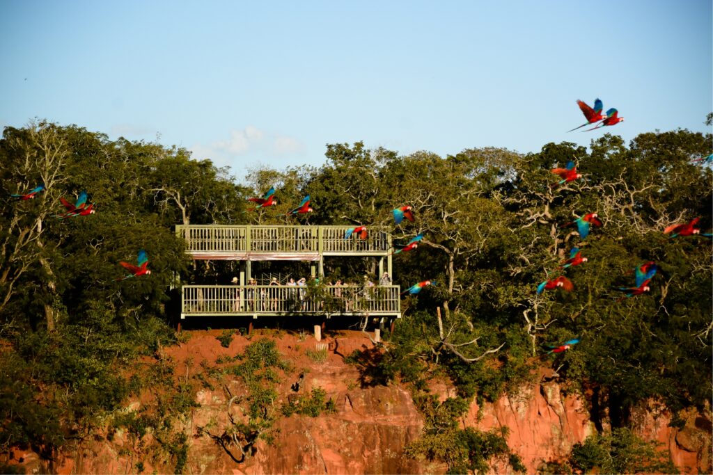 Buraco das Arara em Bonito -MS