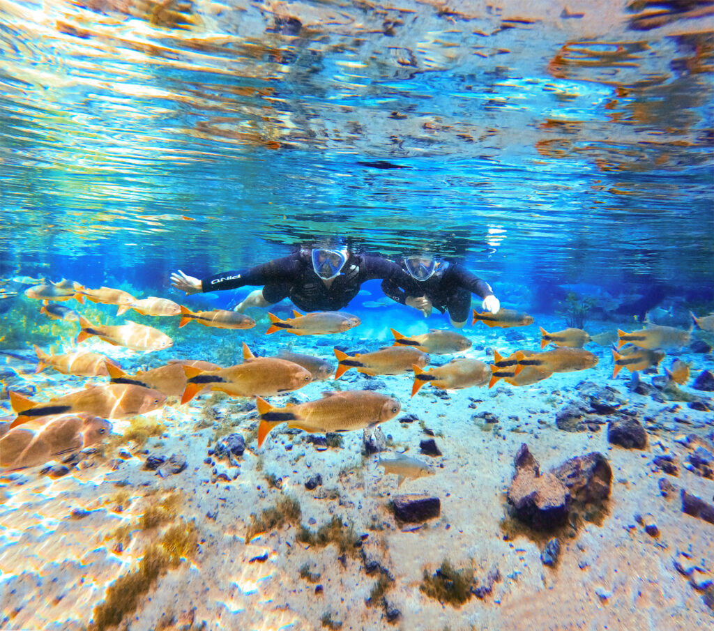 Flutuação em Casal Nascente Azul
