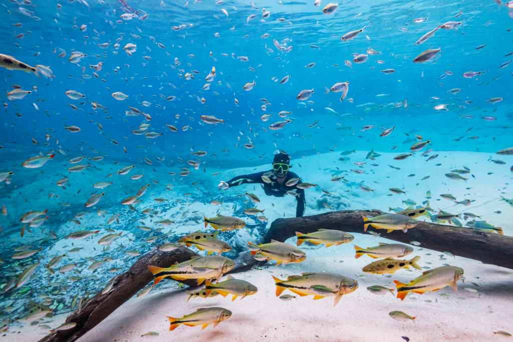 Flutuação em meio a várias espécies de peixes de Bonito, MS