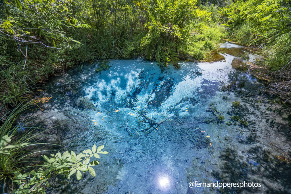 Águas cristalinas do Rio Sucuri. Bonito MS