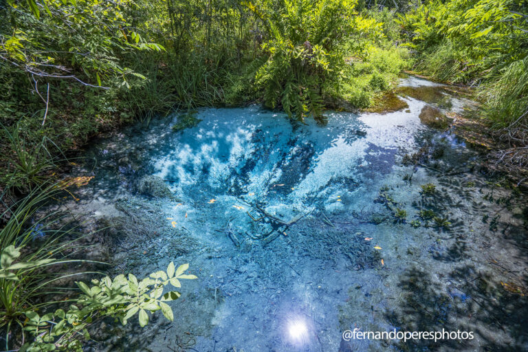 Águas cristalinas do Rio Sucuri. Bonito MS
