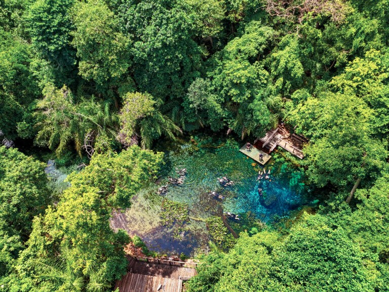 Nascente Azul em Bonito MS