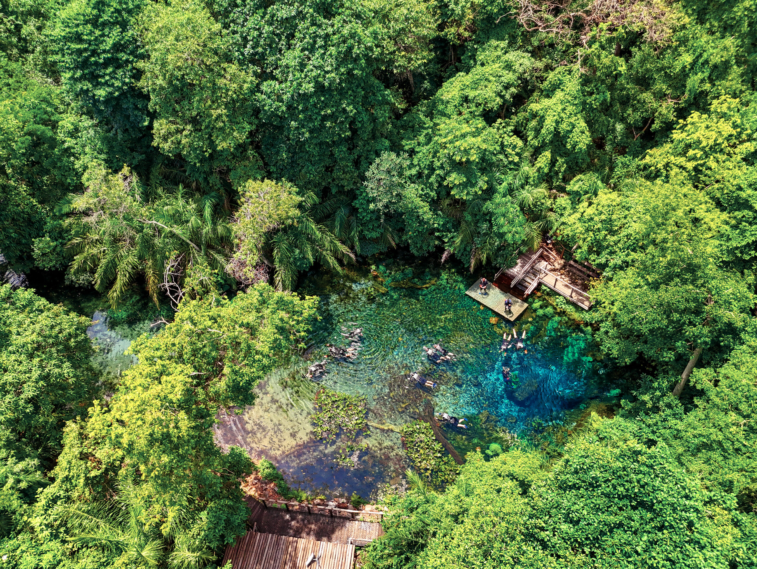 Nascente Azul em Bonito MS