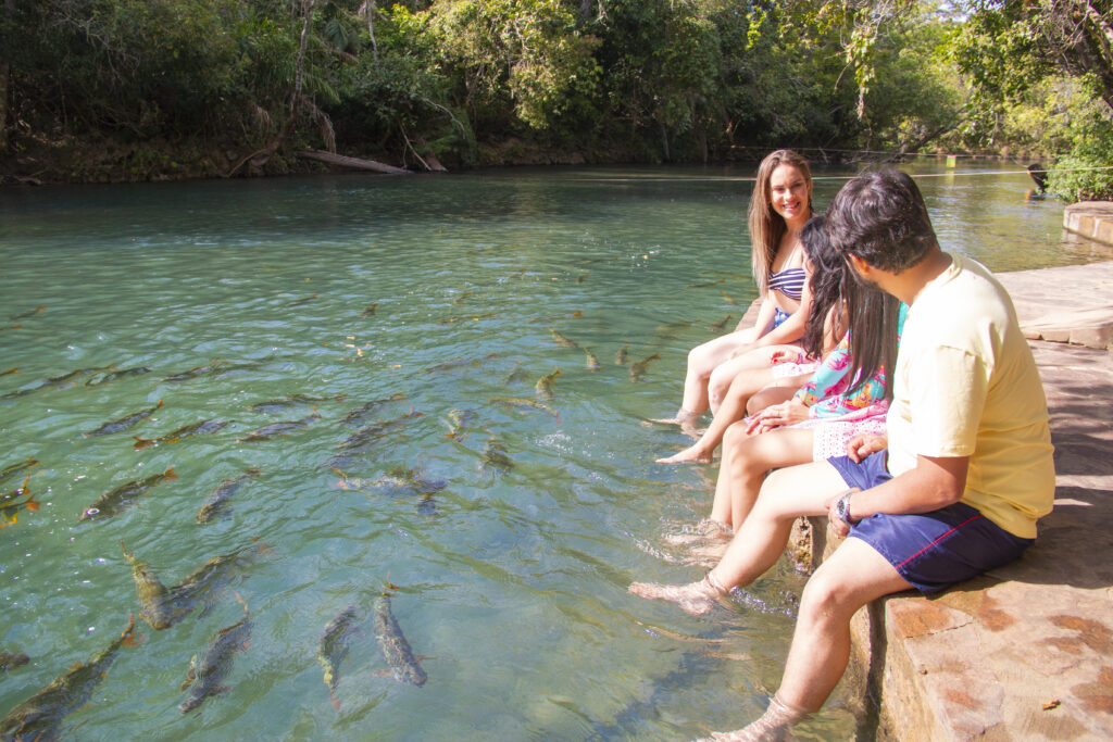 Biodiversidade em Bonito